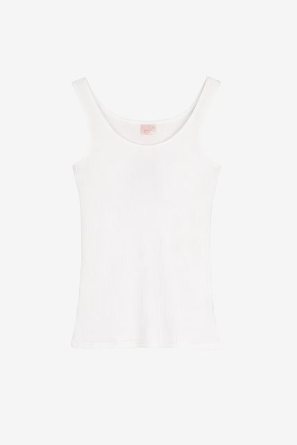 Musculosa