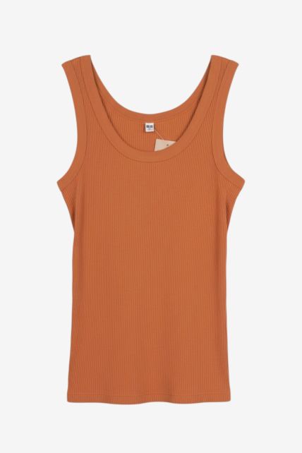 Musculosa