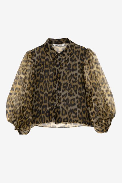 Camisa