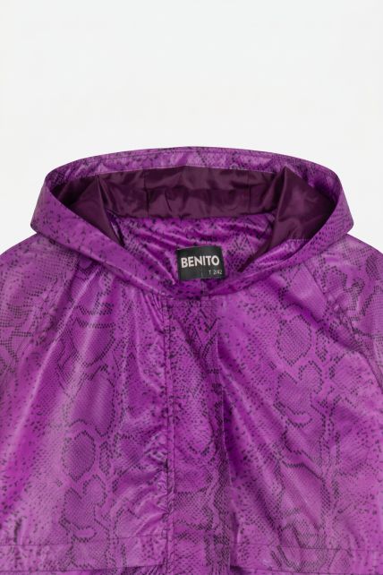 Piloto - Second Image